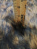 Caramel Wolf Faux Fur - 2 to 2.5 Inch Pile Limited Faux Fur