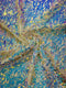 Sword Sequin Mesh Fabric (By The Yard)