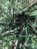 Sword Sequin Mesh Fabric (By The Yard)