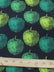 Printed Poly Cotton / Textile Collection / Sold by The Yard