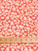 Printed Poly Cotton / Textile Collection / Sold by The Yard