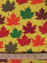 Printed Poly Cotton / Textile Collection / Sold by The Yard