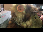 Faux fur teddy bear