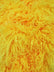 Ultra Curly Mongolian Poodle Minky Fabric