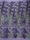 Feather Wing Iridescent Sequin Stretch Mesh Fabric / Sold by the Yard