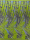 Feather Wing Iridescent Sequin Stretch Mesh Fabric / Sold by the Yard