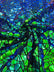 Broken Glass Sequin Velvet Fabric /Sold By The Yard