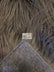 Solid Gorilla Animal Long Pile Faux Fur Fabric / Sold By The Yard