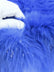 Solid Shiny Tinsel Long Pile Faux Fur Fabric / Sold By The Yard