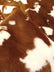 Half Shag Faux Fur Fabric (Cow)(Knit Backing) / Sold By The Yard