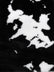 Half Shag Faux Fur Fabric (Cow)(Knit Backing) / Sold By The Yard