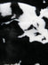 Half Shag Faux Fur Fabric (Cow)(Knit Backing) / Sold By The Yard