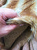 Fox Animal Faux Fur / Sold By The Yard
