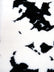 Half Shag Faux Fur Fabric (Cow)(Knit Backing) / Sold By The Yard