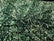 SEQUIN VELVET FABRIC (By The Yard)