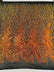 Phoenix Feather Sequin Stretch Mesh Fabric / Sold by the Yard