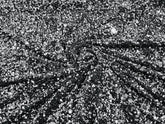 SEQUIN VELVET FABRIC (By The Yard)