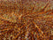 SEQUIN VELVET FABRIC (By The Yard)