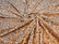 SEQUIN VELVET FABRIC (By The Yard)