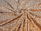 SEQUIN VELVET FABRIC (By The Yard)