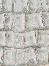 White/Silver Metallic Caiman Gator Vinyl