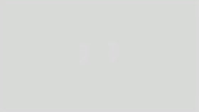 2 and 3 Tone Spiked Shaggy Long Pile Faux Fur Fabric / Sold by The Yard - 0