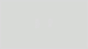 2 and 3 Tone Spiked Shaggy Long Pile Faux Fur Fabric / Sold by The Yard - 0