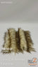 Animal Short Pile Coat Costume Faux Fur Fabric / Sold By The Yard