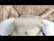 Wolf Animal Long Pile Faux Fur Fabric / Sold By The Yard