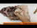 Wolf Animal Long Pile Faux Fur Fabric / Sold By The Yard
