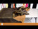 Wolf Animal Long Pile Faux Fur Fabric / Sold By The Yard