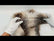 Wolf Animal Long Pile Faux Fur Fabric / Sold By The Yard
