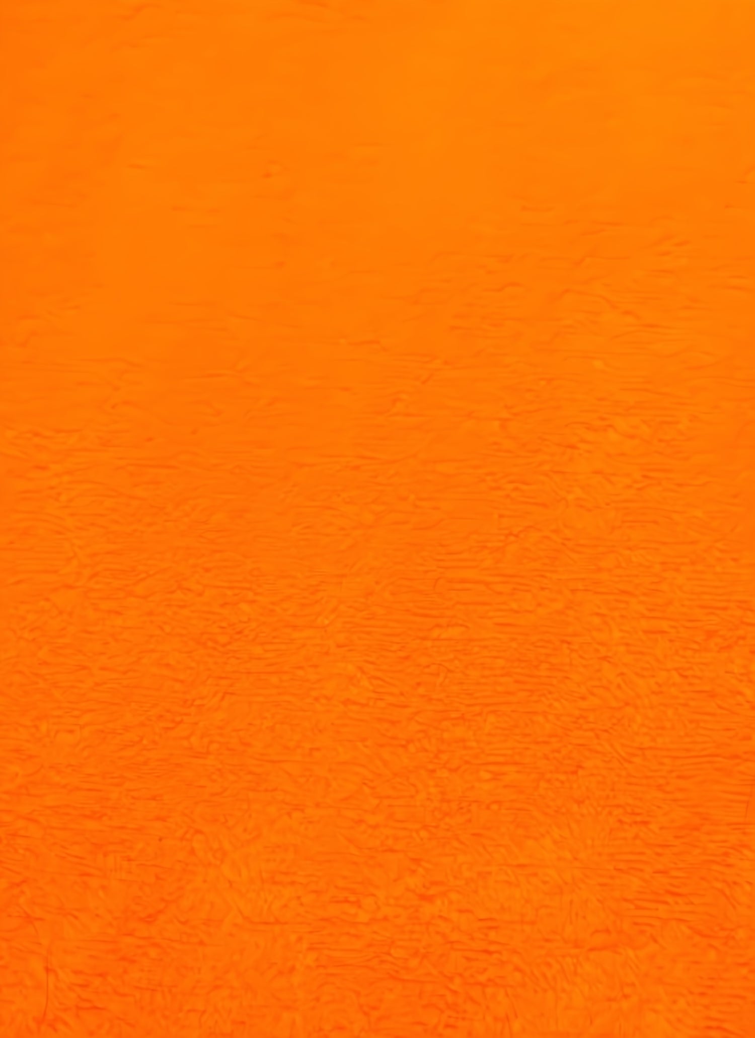 Neon Orange Minky Solid Baby Soft Fabric / Sold by the Yard