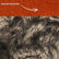 Solid Mongolian Long Pile Faux Fur Fabric / Sold By The Yard