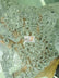 Anastasia Floral Sequins Lace Fabric / Burgundy / Sold By The Yard (Closeout)