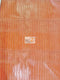 Big Nile Crocodile Vinyl Fabric / Sold By The Yard