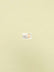Cotton Duck Canvas Fabric / Natural (#12) (11.5oz) / Sold By The Yard
