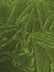 Crushed Stretch Velvet Costume Fabric / Olive / Sold By The Yard