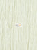 Crushed Taffeta Fabric / Ivory / Sold By The Yard