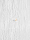 Crushed Taffeta Fabric / Sold By The Yard