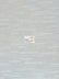 Famous Luxury Vector Stripes Upholstery Fabric / Pearl / Sold By The Yard