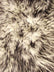 Black Candy Shag Fabric / Sold By The Yard
