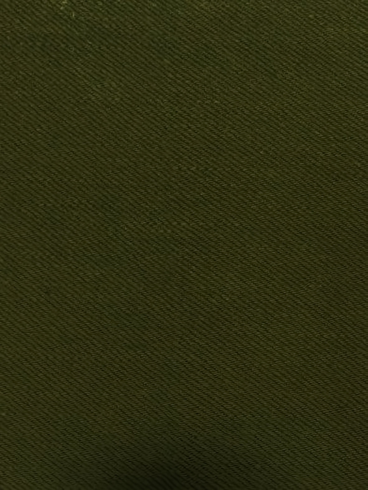 Japanese Selvedge Denim Fabric / Olive (Japan Nihon Menpu)