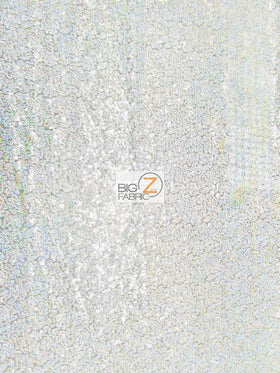 Mini Disc Sequin Nylon Mesh Fabric / Holographic Shiny Silver On White Mesh / Sold By The Yard