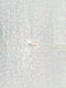 Mini Disc Sequin Nylon Mesh Fabric  / Sold By The Yard