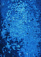 Mini Disc Sequin Nylon Mesh Fabric  / Sold By The Yard