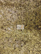 Mini Disc Sequin Nylon Mesh Fabric  / Sold By The Yard