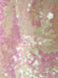 Mini Disc Sequin Nylon Mesh Fabric / Holographic Shiny Clear Peach / Sold By The Yard