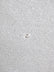 Mini Disc Sequin Nylon Mesh Fabric / Shiny White / Sold By The Yard