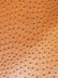 Classic Ostrich Upholstery Vinyl Fabric / Sold By The Yard